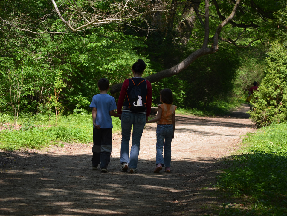 Parcul Dendrologic Simeria